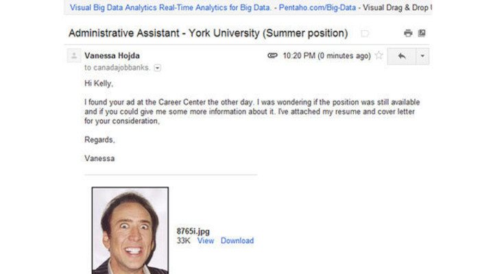 funny cover letter examples reddit