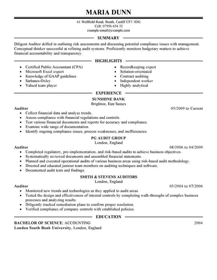 Auditor résumé example