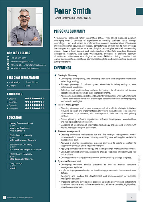 CIO résumé sample