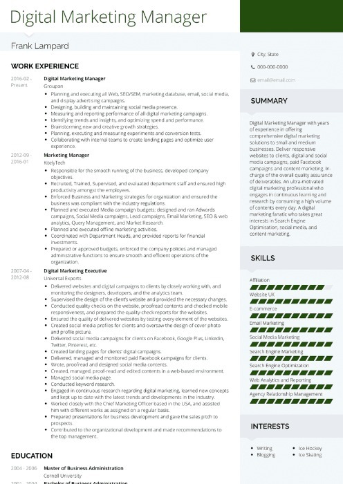 Digital Marketing Manager Resume Sample Modern