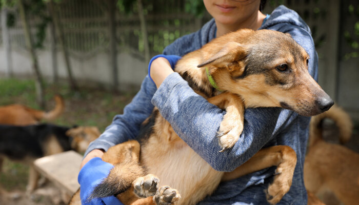 A woman holding a dog