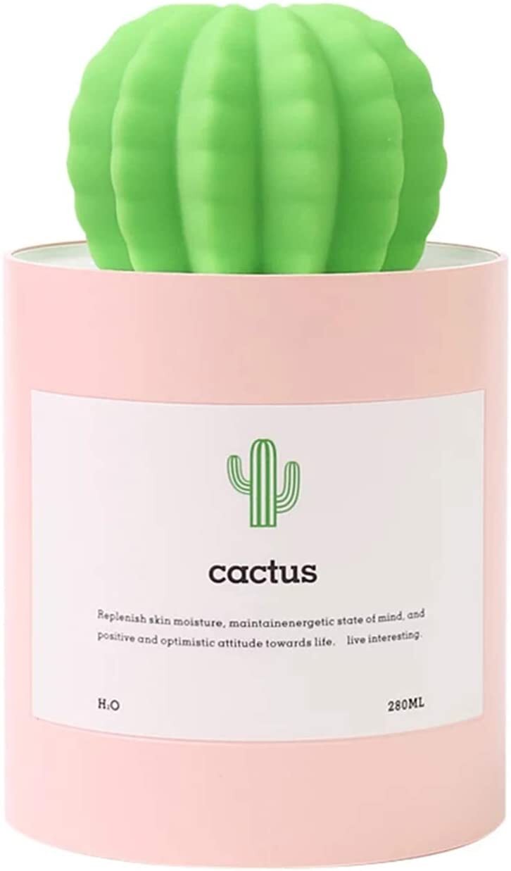 Mini Cactus Humidifier By Uodbuyo