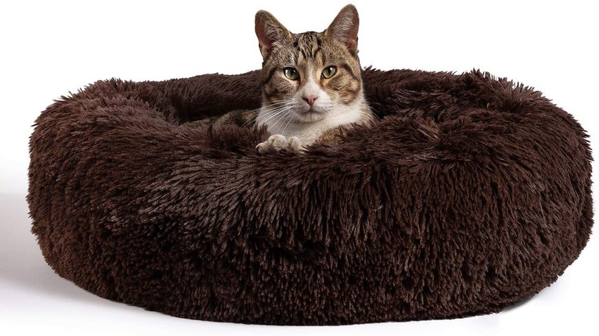 10 Best Friends Pet Bed