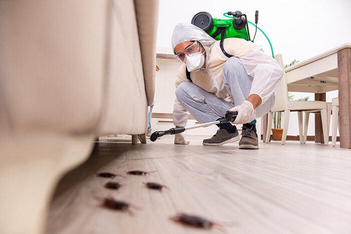 Pest control officer spraying room.