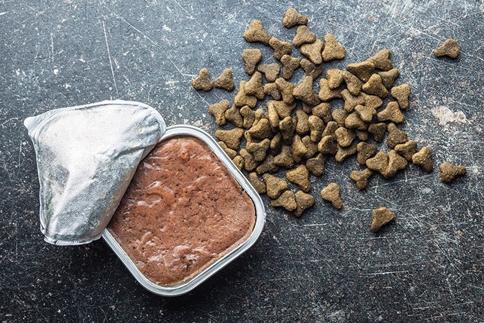 Wet and dry pet food for a pet food tester to eat.