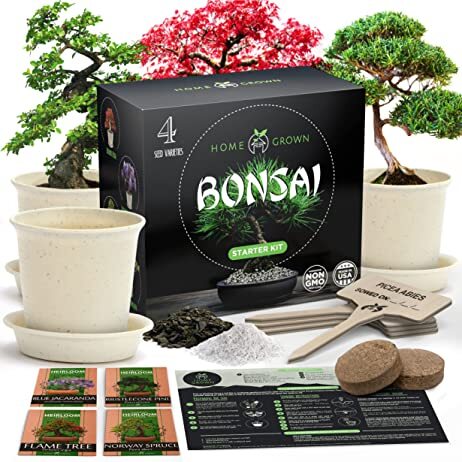 Home grown bonsai seed kit leaving gift