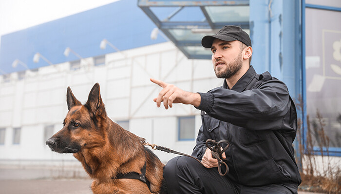 Animal Control Officer - Best Jobs For Dog Lovers