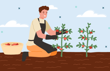 Farm worker wondering how to become a farmer professionally while planting