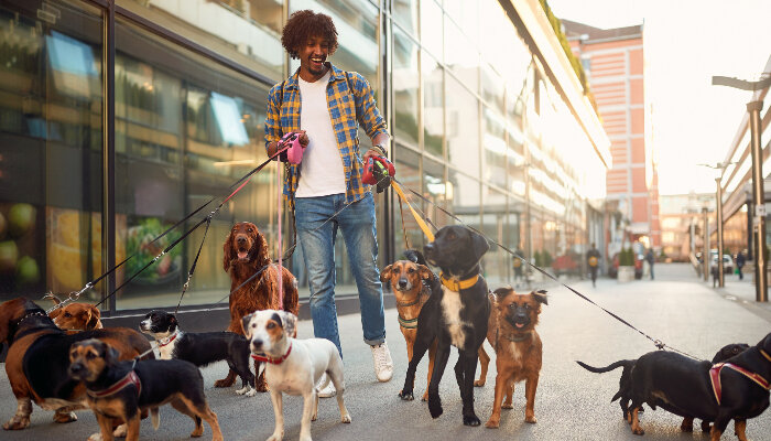 Dog Walker