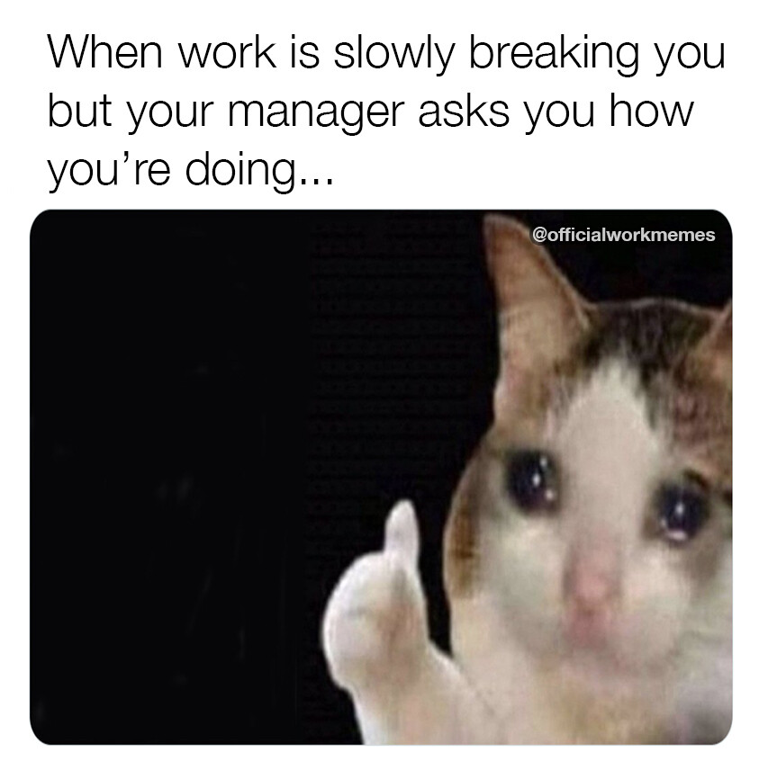 Work is slowly breaking you meme
