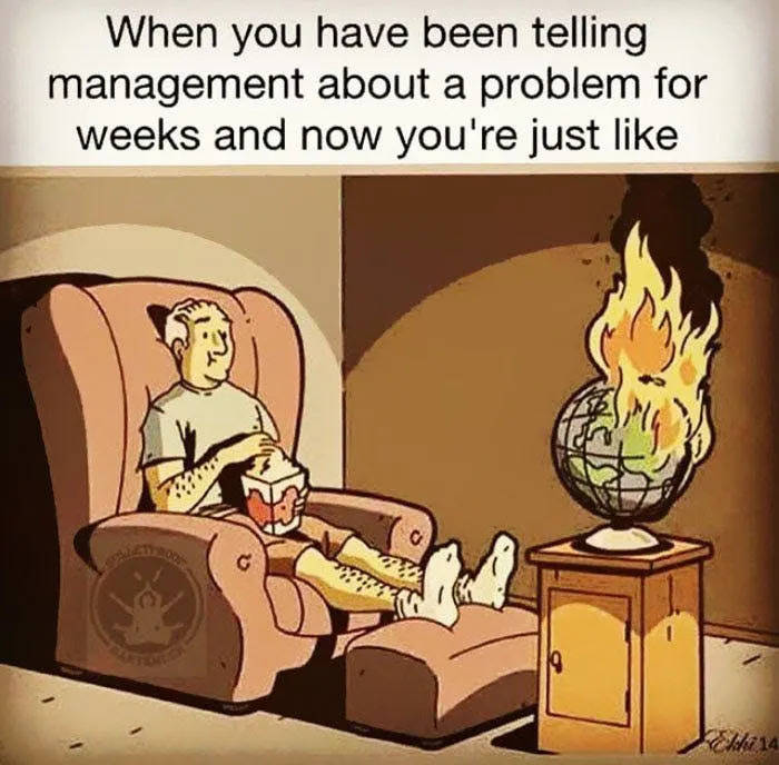 World burning meme