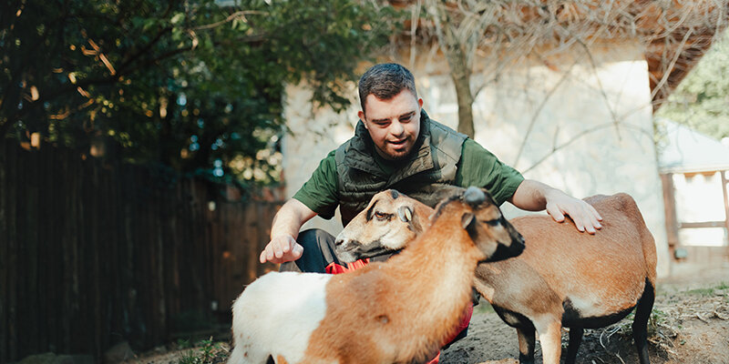 Animal Caretaker